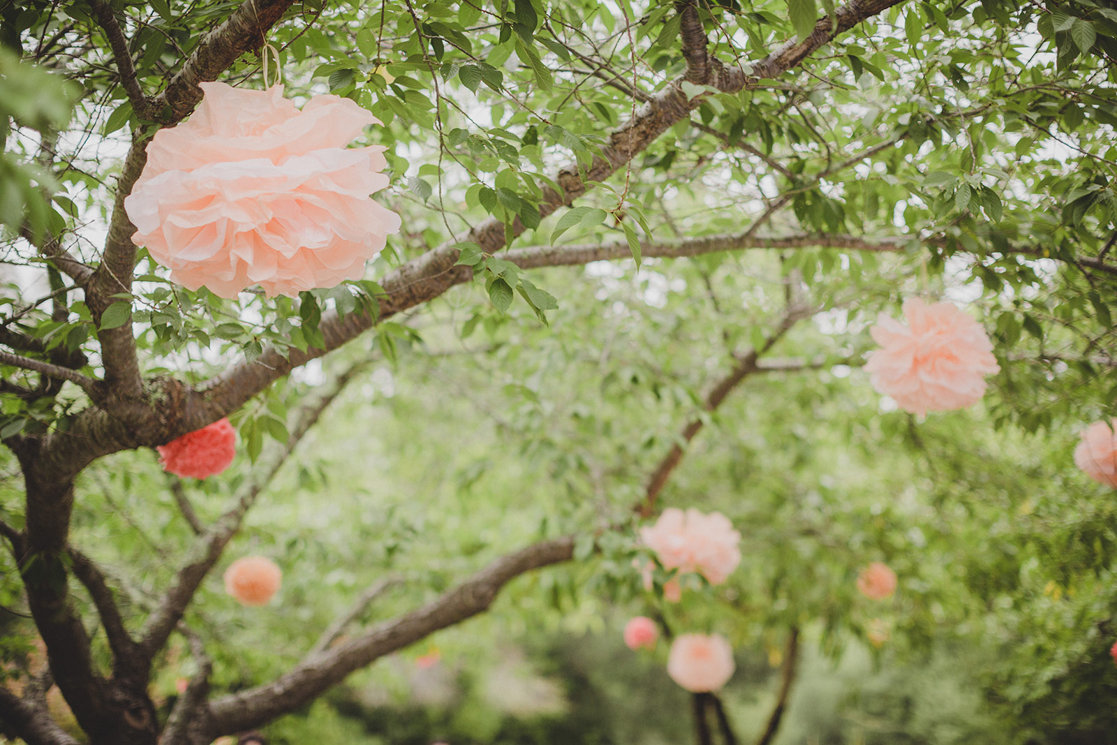 A tree with pink paper flowers hanging from it.